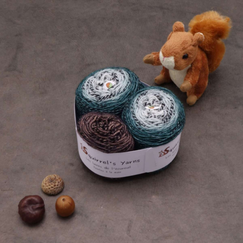 Kit Chaussettes - Tourbillon Acacia Fing - Les brumes de Brocéliande Gradient + Marrons grillés - M