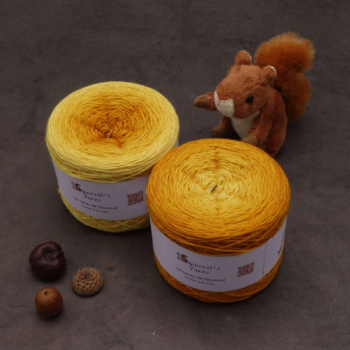 Noisette Fing - Mangue Gradient - 150g