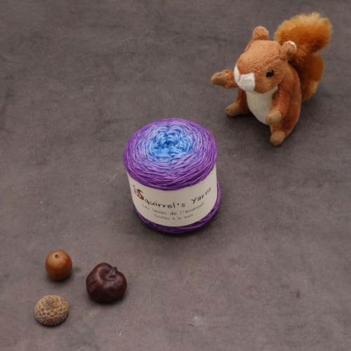 Noisette Fing - Hortensia en automne Gradient - 50g