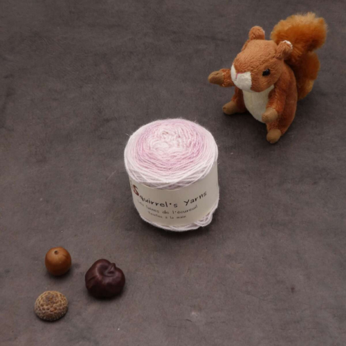 Pécan Fing - Voyage au Japon Gradient miroir - 50g