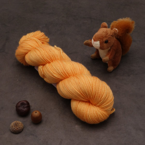 Tourbillon Saule Fing - Sorbet à l'orange - 100g