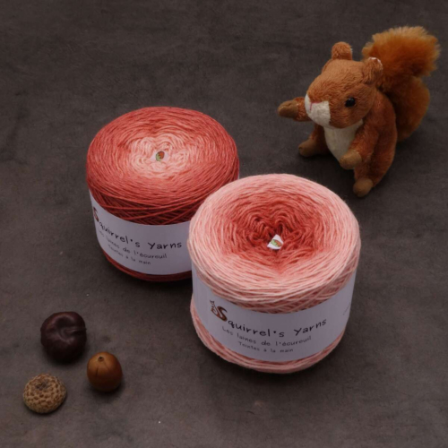 Bigaradier Fing - Fougères sèches Gradient - 100g