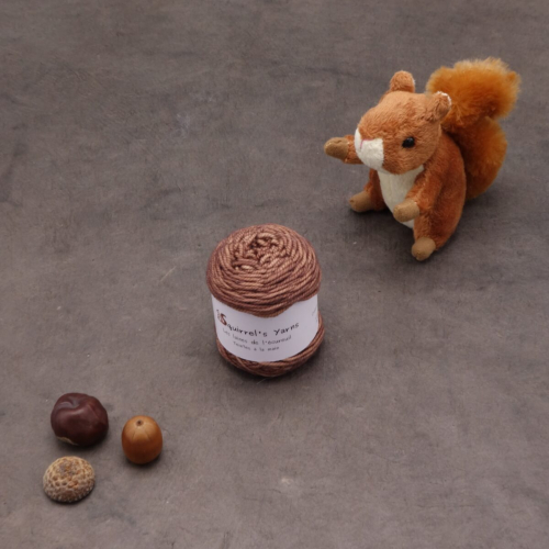 Tourbillon Noisette Sport - Chocolat au caramel - 25g