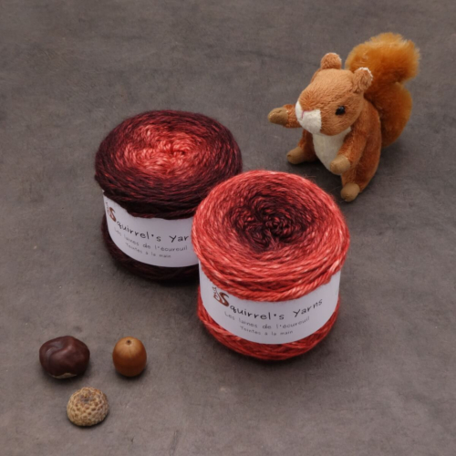 Châtaigne Aran - Grenat Gradient - 100g