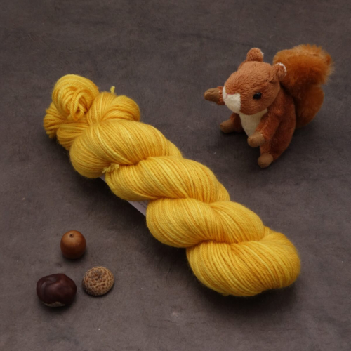 Noisette Sport - Mangue - 100g
