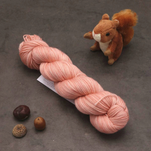 Tourbillon Noisette Sport - Saluer le saumon - 100g