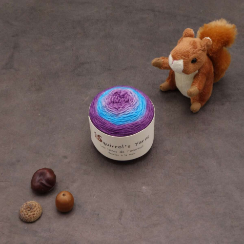 Amande Fing - Hortensia en automne Gradient miroir - 50g