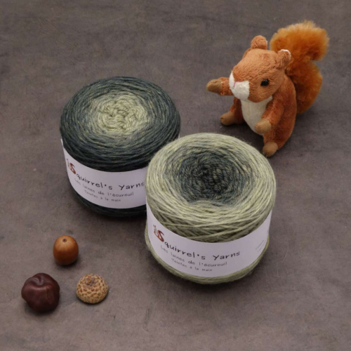 Bouleau Sport - Fruit du hasard Gradient - 100g