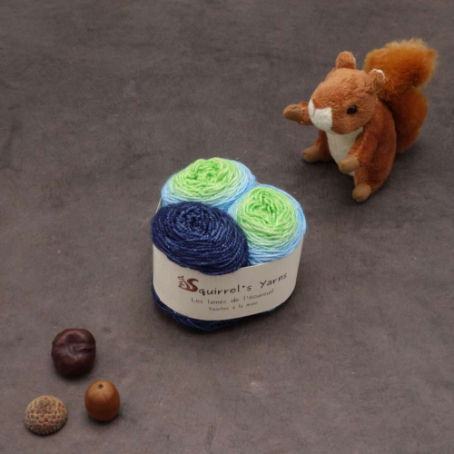 Kit Chaussettes - Pécan Fing - Chenille de Grand Paon de nuit Gradient + Abysses - S