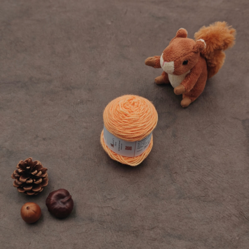 Tourbillon Cyprès Fing (éphémère) - Sorbet à l'orange - 25g