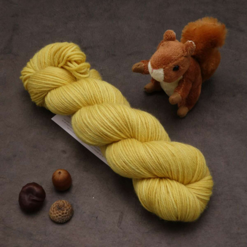 Noisette Sport - Miel - 100g