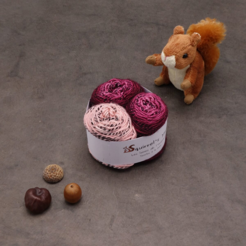 Kit Chaussettes - Tourbillon Acacia Fing - Pivoine Gradient + Saluer le saumon - S