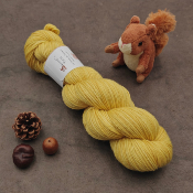 Noisette Sport - Miel - 100g