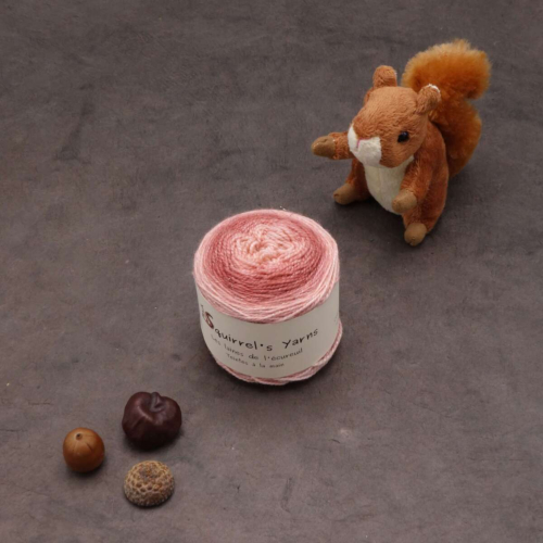 Pécan Fing - Fougères sèches Gradient miroir - 50g