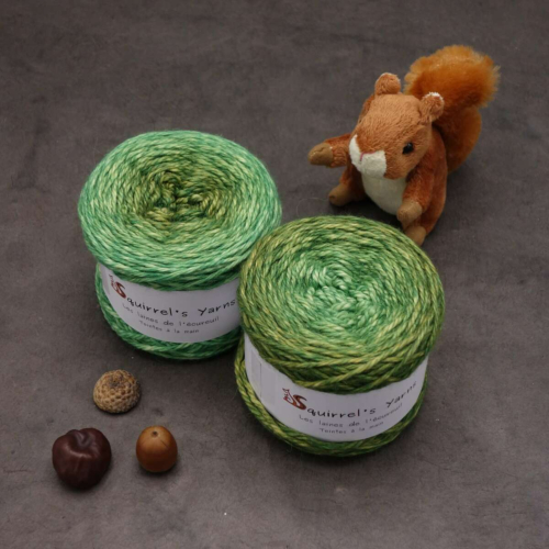 Châtaigne Aran - Marcher sur la mousse Gradient - 100g