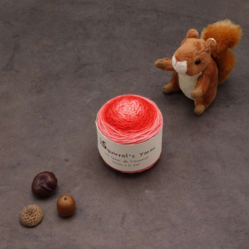 Tourbillon Noisette Sport - Amaryllis Gradient miroir - 50g