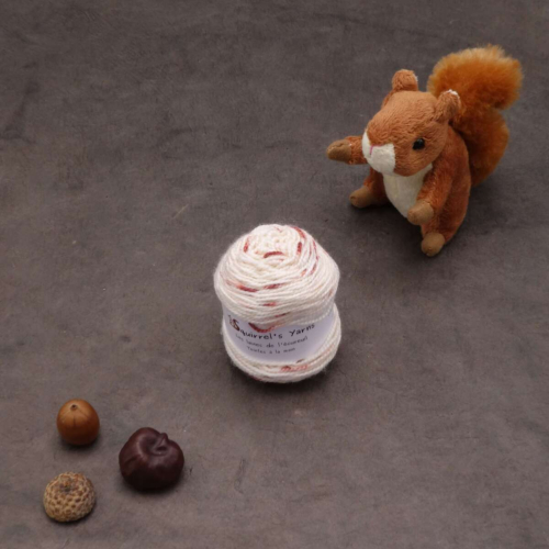 Tourbillon Saule Fing - Glace aux griottes - 25g