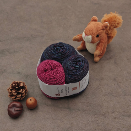 Kit Chaussettes - Amande Fing - Plume de corbeau + Pivoine - S