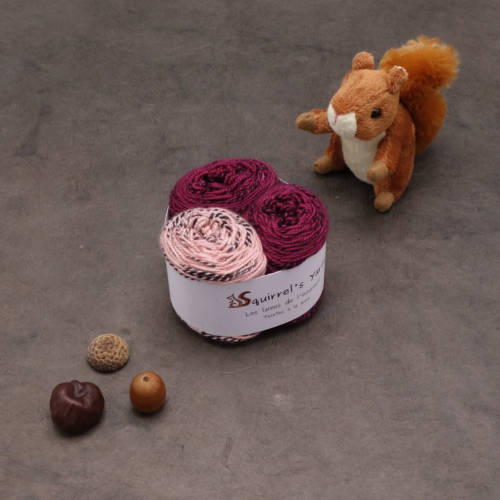 Kit Chaussettes - Tourbillon Acacia Fing - Pivoine + Saluer le saumon - S