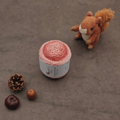 Amande Fing - Fougères sèches Gradient miroir - 50g