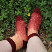 Laine pour les chaussettes Aubépine (teinture sur commande)