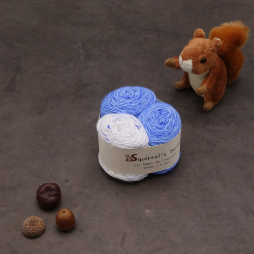 Kit Chaussettes - Amande Fing - Myosotis + Gentianes dans la neige - S
