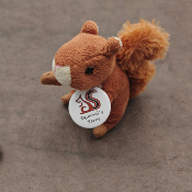 Badge Squirrel's Yarns