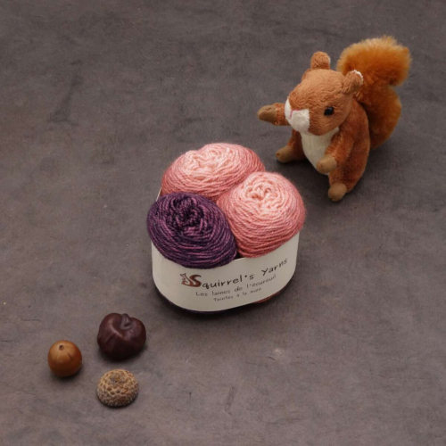 Kit Chaussettes - Pécan Fing - Fougères sèches Gradient + Spinelle rouge - S