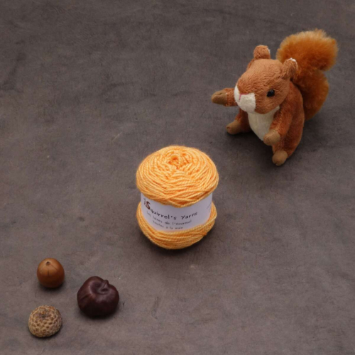 Tourbillon Saule Fing - Sorbet à l'orange - 25g