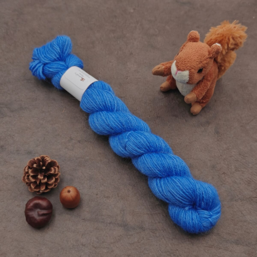 Laurier Sport (éphémère) - Myosotis - 50g