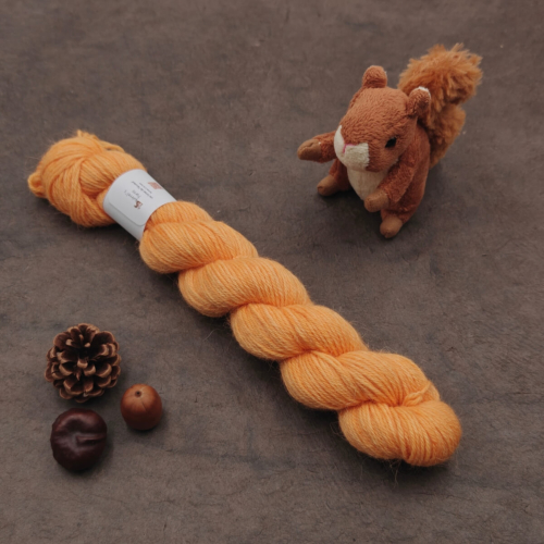 Laurier Sport (éphémère) - Sorbet à l'orange - 50g