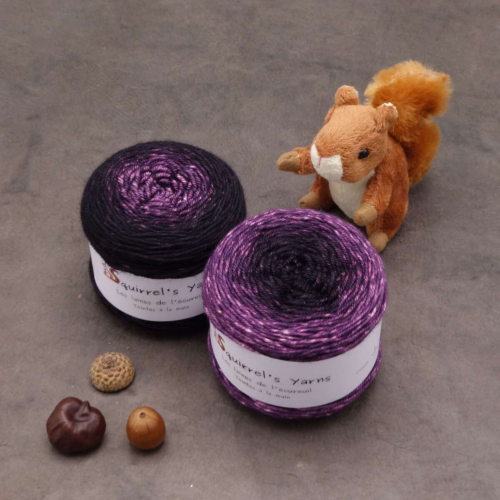Merisier DK - La robe d'Albus Gradient - 100g