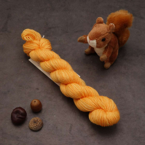 Noisette Fing - Sorbet à l'orange - 50g