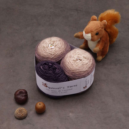 Kit Chaussettes - Tourbillon Amande Fing - Écorce de Pin Gradient + Grignoter la prune - M