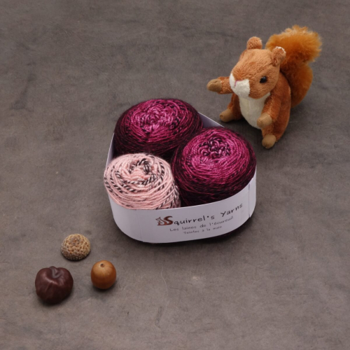 Kit Chaussettes - Tourbillon Acacia Fing - Pivoine Gradient + Saluer le saumon - M