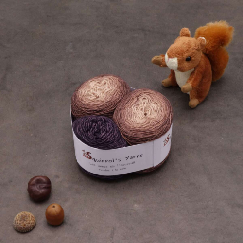 Kit Chaussettes - Bigaradier Fing - Écorce de Pin Gradient + Grignoter la prune - M