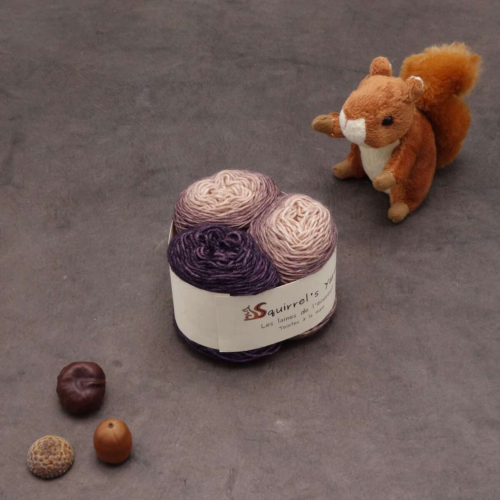 Kit Chaussettes - Bigaradier Fing - Écorce de Pin Gradient + Grignoter la prune - S