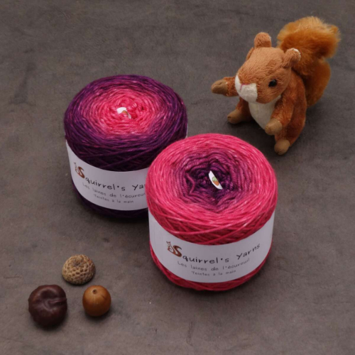 Noix DK - Fuchsia Gradient - 100g