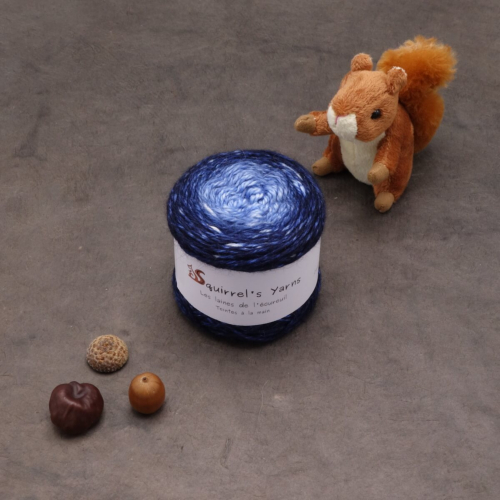 Châtaigne Aran - Nuit étoilée Gradient - 100g