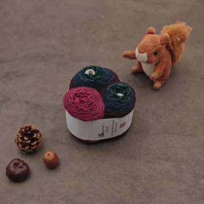 Kit Chaussettes - Pécan Fing - Plume de corbeau Gradient + Pivoine - S