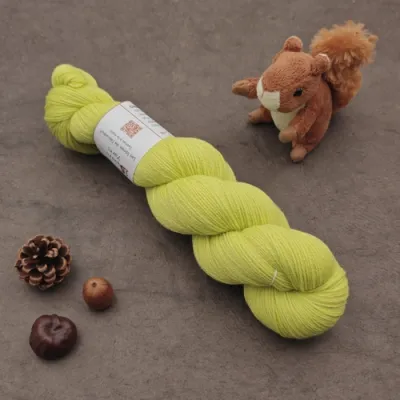 Chêne Fing (éphémère) - Bourgeon naissant - 95g (déclassé)