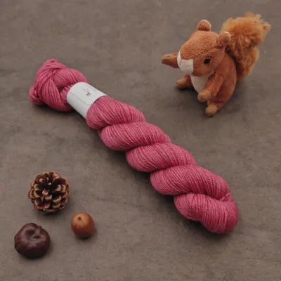 Amande DK (éphémère) - Framboise givrée - 50g