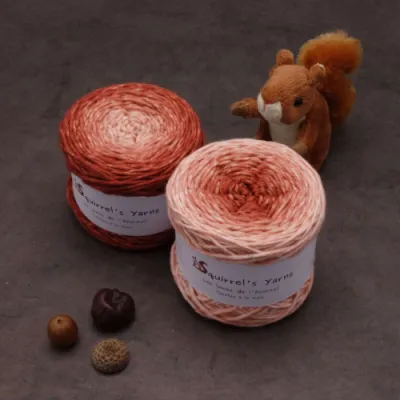 Tourbillon Noisette Aran (éphémère) - Fougères sèches Gradient - 115g