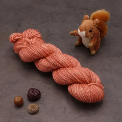 Tourbillon Noisette Aran (éphémère) - Fougères sèches - 115g
