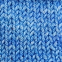 Pavot bleu de l'Himalaya