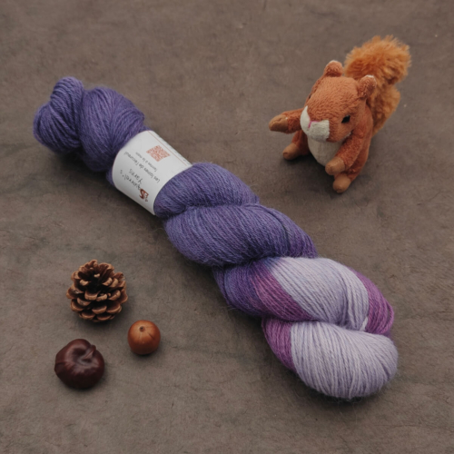 Laurier Sport Trésor Violettes Buddléia